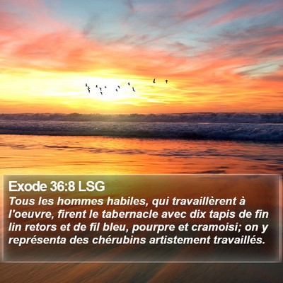 Exode 36:8 LSG Bible Verse Image