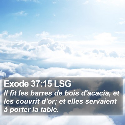 Exode 37:15 LSG Bible Verse Image