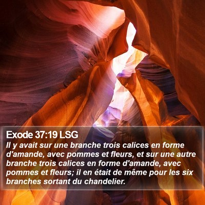 Exode 37:19 LSG Bible Verse Image