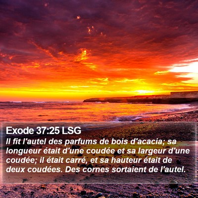 Exode 37:25 LSG Bible Verse Image