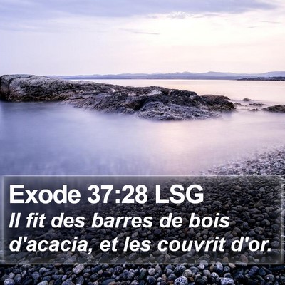 Exode 37:28 LSG Bible Verse Image