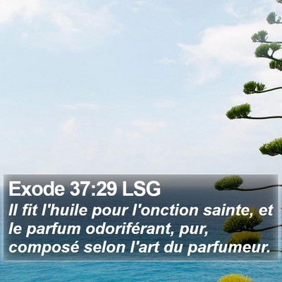 Exode 37:29 LSG Bible Verse Image