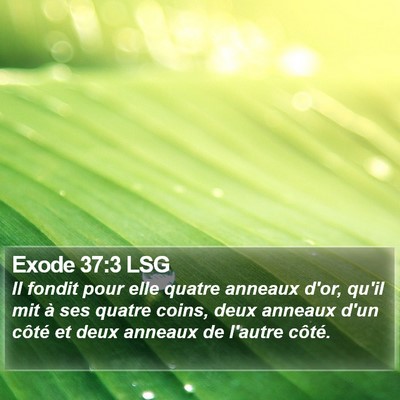 Exode 37:3 LSG Bible Verse Image