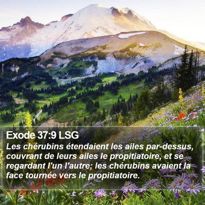 Exode 37:9 LSG Bible Verse Image