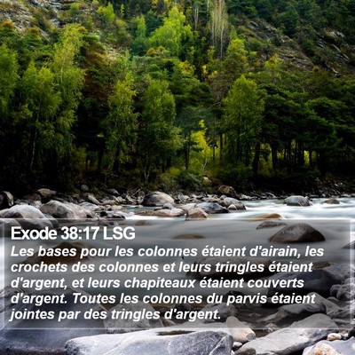 Exode 38:17 LSG Bible Verse Image