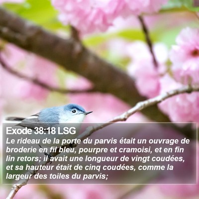 Exode 38:18 LSG Bible Verse Image