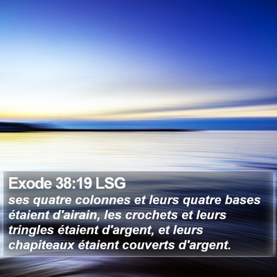 Exode 38:19 LSG Bible Verse Image