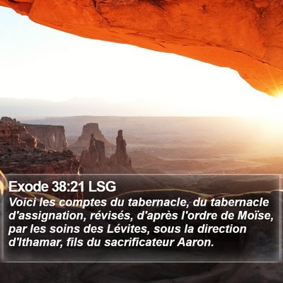 Exode 38:21 LSG Bible Verse Image