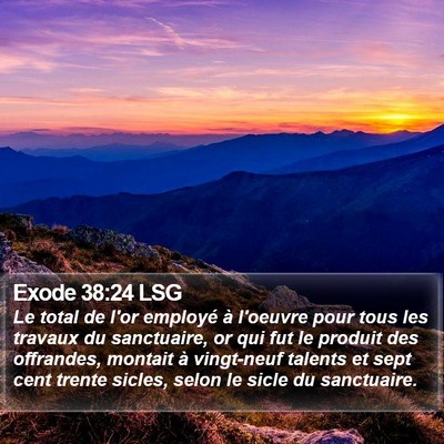 Exode 38:24 LSG Bible Verse Image