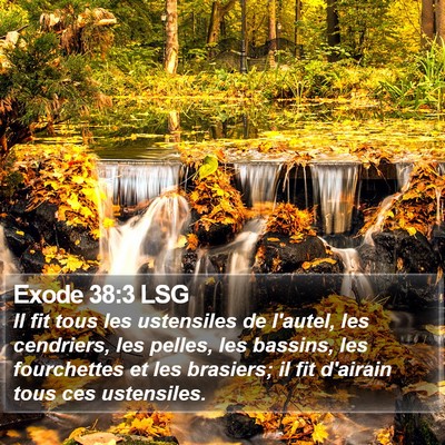 Exode 38:3 LSG Bible Verse Image