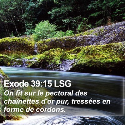 Exode 39:15 LSG Bible Verse Image