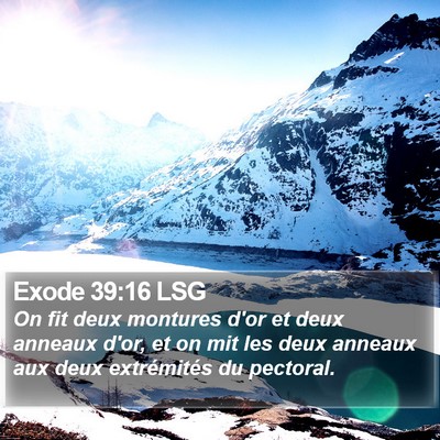 Exode 39:16 LSG Bible Verse Image