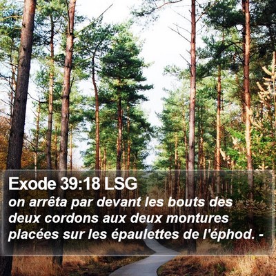 Exode 39:18 LSG Bible Verse Image