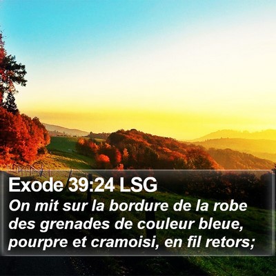 Exode 39:24 LSG Bible Verse Image