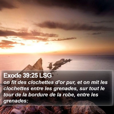 Exode 39:25 LSG Bible Verse Image