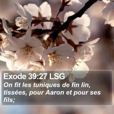 Exode 39:27 LSG Bible Verse Image