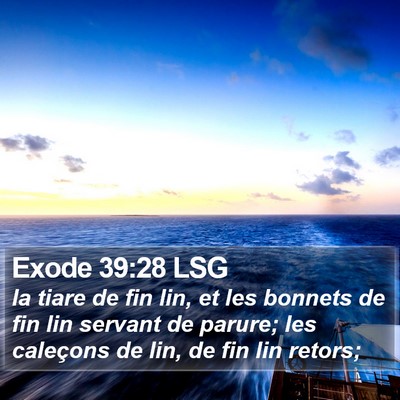 Exode 39:28 LSG Bible Verse Image