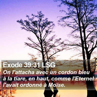 Exode 39:31 LSG Bible Verse Image