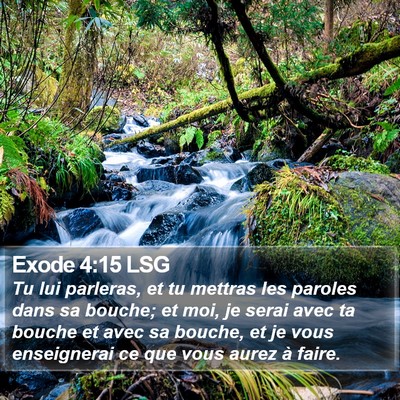 Exode 4:15 LSG Bible Verse Image