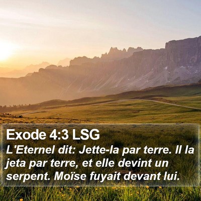 Exode 4:3 LSG Bible Verse Image