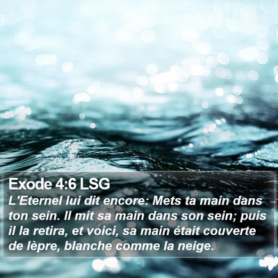 Exode 4:6 LSG Bible Verse Image