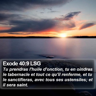 Exode 40:9 LSG Bible Verse Image