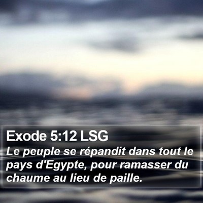 Exode 5:12 LSG Bible Verse Image