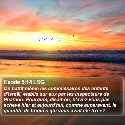 Exode 5:14 LSG Bible Verse Image