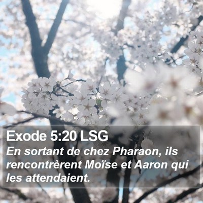 Exode 5:20 LSG Bible Verse Image