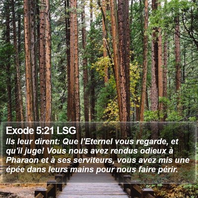 Exode 5:21 LSG Bible Verse Image