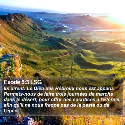 Exode 5:3 LSG Bible Verse Image