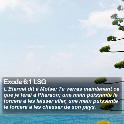 Exode 6:1 LSG Bible Verse Image