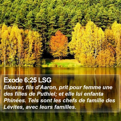 Exode 6:25 LSG Bible Verse Image