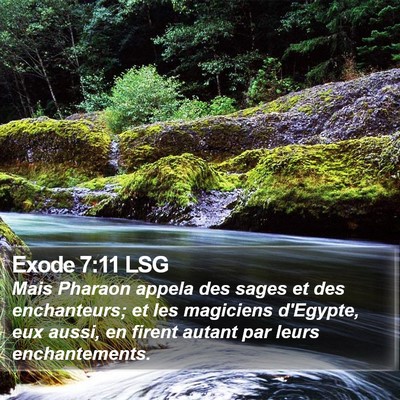 Exode 7:11 LSG Bible Verse Image