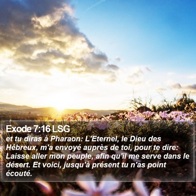 Exode 7:16 LSG Bible Verse Image