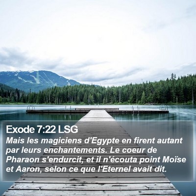 Exode 7:22 LSG Bible Verse Image