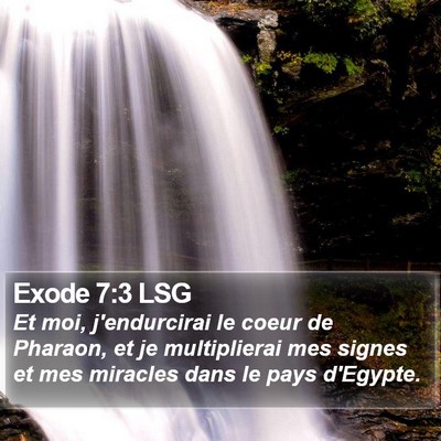 Exode 7:3 LSG Bible Verse Image