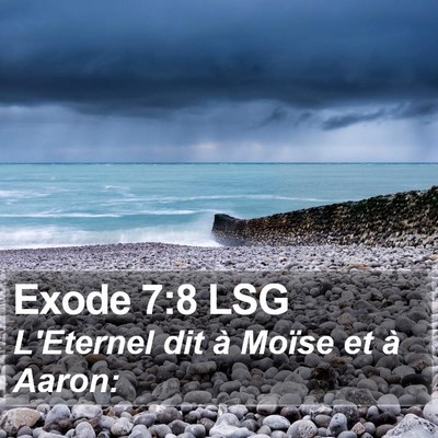 Exode 7:8 LSG Bible Verse Image