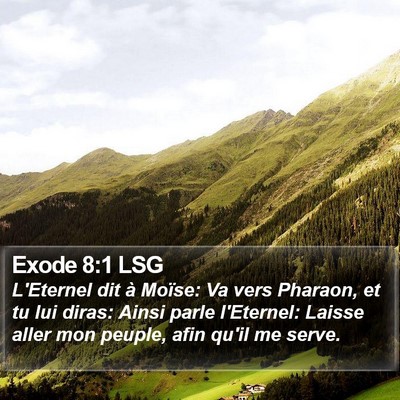 Exode 8:1 LSG Bible Verse Image