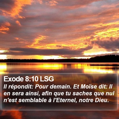 Exode 8:10 LSG Bible Verse Image