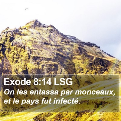 Exode 8:14 LSG Bible Verse Image