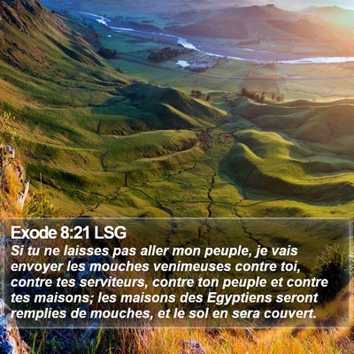 Exode 8:21 LSG Bible Verse Image