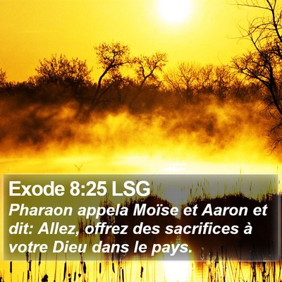 Exode 8:25 LSG Bible Verse Image