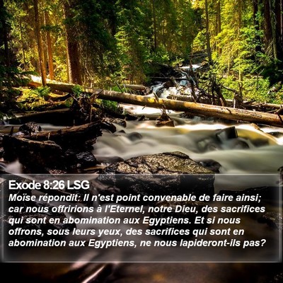 Exode 8:26 LSG Bible Verse Image