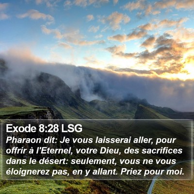 Exode 8:28 LSG Bible Verse Image
