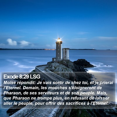 Exode 8:29 LSG Bible Verse Image