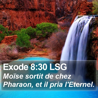 Exode 8:30 LSG Bible Verse Image