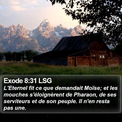 Exode 8:31 LSG Bible Verse Image