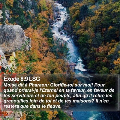 Exode 8:9 LSG Bible Verse Image