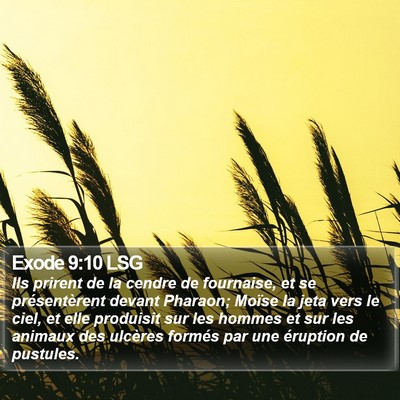 Exode 9:10 LSG Bible Verse Image